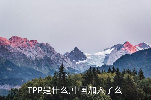 TPP是什么,中國(guó)加入了么