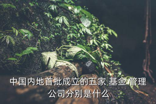 基金管理公司有哪些,中資基金管理公司有哪些