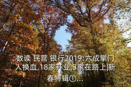 數(shù)讀 民營(yíng) 銀行2019:六成掌門人換血,18家開業(yè),3家在路上|新春特輯①...