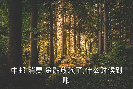 郵政消費(fèi)金融公司,重慶螞蟻消費(fèi)金融公司電話