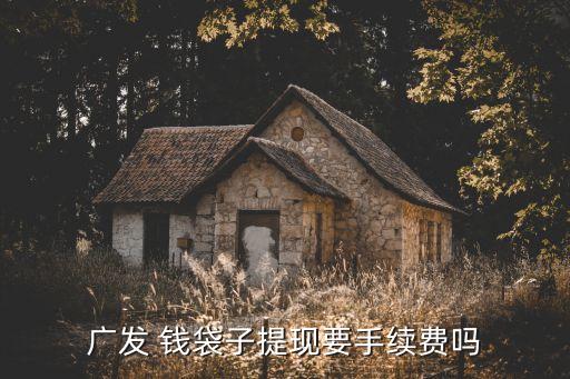 廣發(fā) 錢袋子提現(xiàn)要手續(xù)費(fèi)嗎