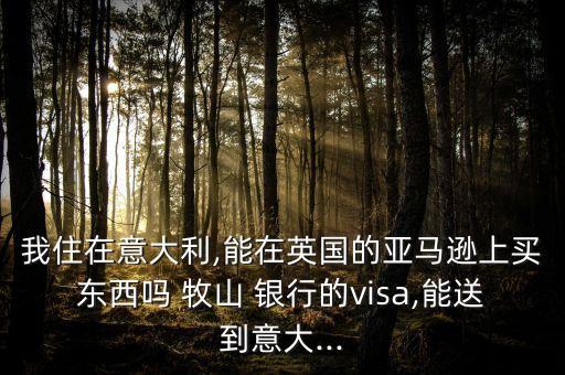 我住在意大利,能在英國(guó)的亞馬遜上買(mǎi)東西嗎 牧山 銀行的visa,能送到意大...