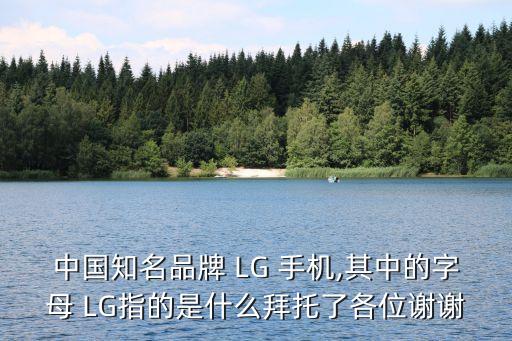 中國知名品牌 LG 手機,其中的字母 LG指的是什么拜托了各位謝謝