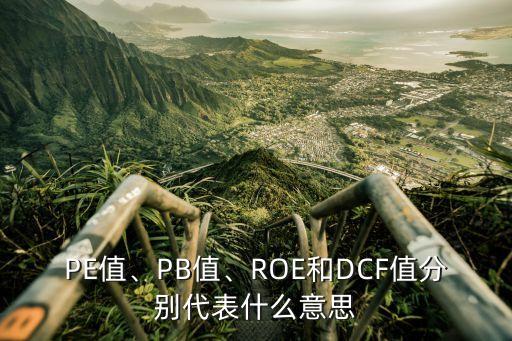 PE值、PB值、ROE和DCF值分別代表什么意思