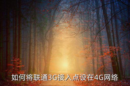 如何將聯(lián)通3G接入點(diǎn)設(shè)在4G網(wǎng)絡(luò)