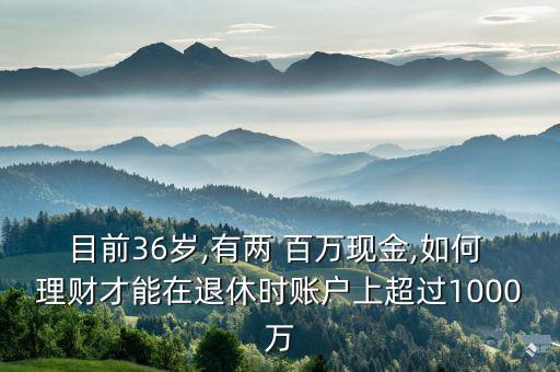 目前36歲,有兩 百萬現(xiàn)金,如何 理財才能在退休時賬戶上超過1000萬