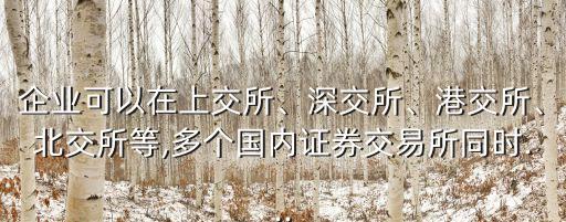 企業(yè)可以在上交所、深交所、港交所、北交所等,多個(gè)國內(nèi)證券交易所同時(shí)...