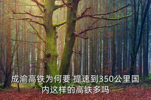 成渝高鐵為何要 提速到350公里國(guó)內(nèi)這樣的高鐵多嗎