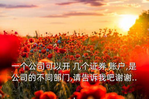 一個(gè)公司可以開 幾個(gè)證券 賬戶,是公司的不同部門,請(qǐng)告訴我吧謝謝...