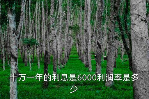 十萬(wàn)一年的利息是6000利潤(rùn)率是多少