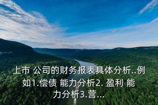 上市 公司的財務報表具體分析..例如1.償債 能力分析2. 盈利 能力分析3.營...