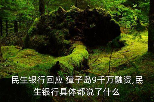 民生銀行回應(yīng) 獐子島9千萬融資,民生銀行具體都說了什么