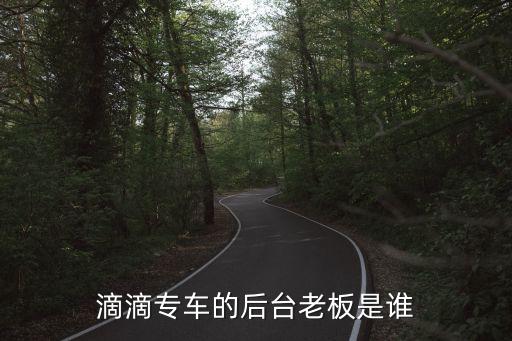 滴滴專車的后臺(tái)老板是誰