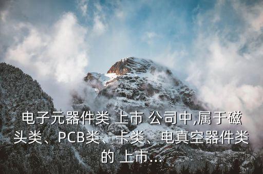 電子元器件類 上市 公司中,屬于磁頭類、PCB類、卡類、電真空器件類的 上市...