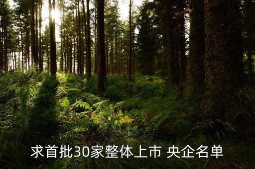 央企合并重組中國建材,三家央企合并重組是哪三家公司