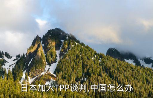 tpp貿(mào)易保護排除中國