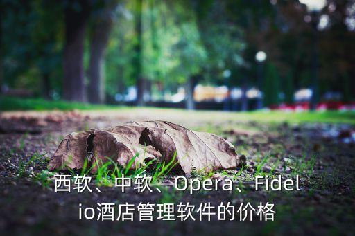 西軟、中軟、Opera、Fidelio酒店管理軟件的價格