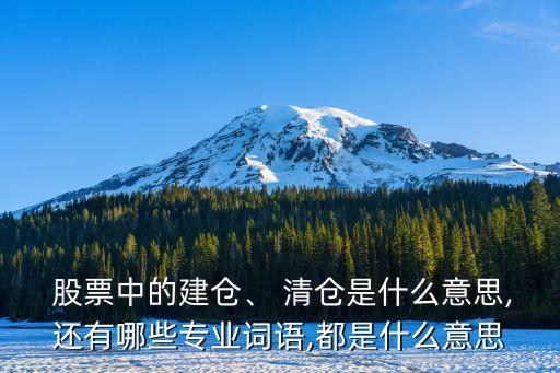  股票中的建倉、 清倉是什么意思,還有哪些專業(yè)詞語,都是什么意思