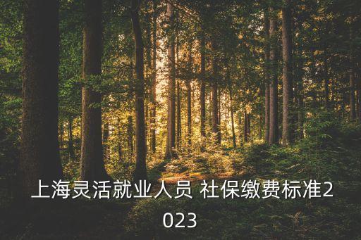  上海靈活就業(yè)人員 社保繳費標準2023