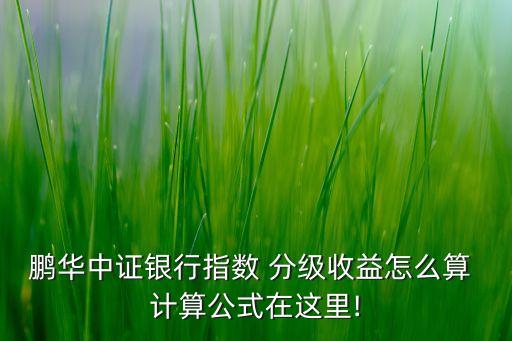 鵬華中證銀行指數(shù) 分級收益怎么算 計(jì)算公式在這里!