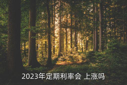 2023年定期利率會(huì) 上漲嗎