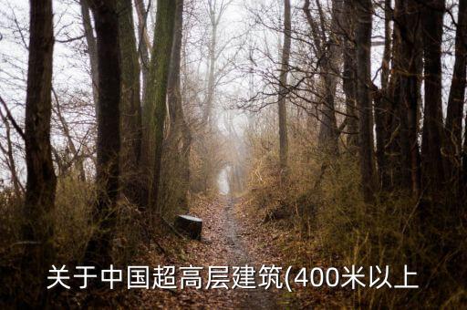 關于中國超高層建筑(400米以上