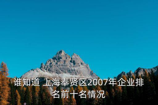 誰(shuí)知道 上海奉賢區(qū)2007年企業(yè)排名前十名情況