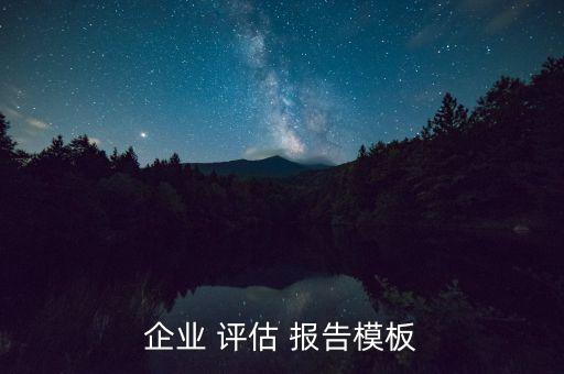 公司資產(chǎn)評(píng)估報(bào)告