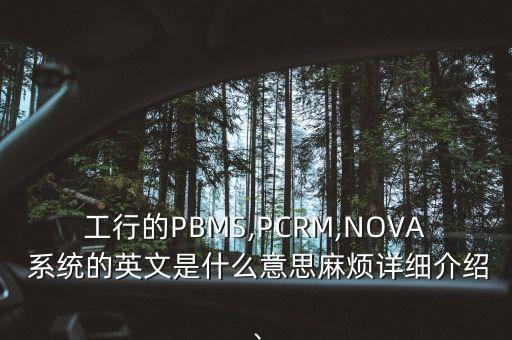 工行的PBMS,PCRM,NOVA 系統(tǒng)的英文是什么意思麻煩詳細(xì)介紹、