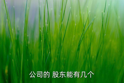 公司的 股東能有幾個(gè)