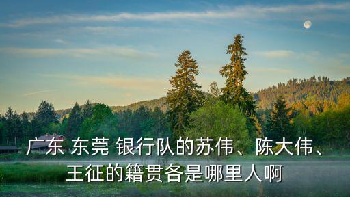 廣東 東莞 銀行隊(duì)的蘇偉、陳大偉、王征的籍貫各是哪里人啊