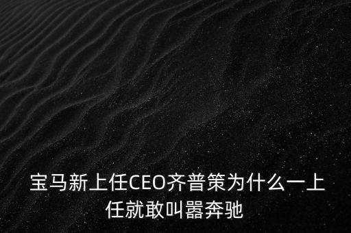 寶馬中國(guó)ceo