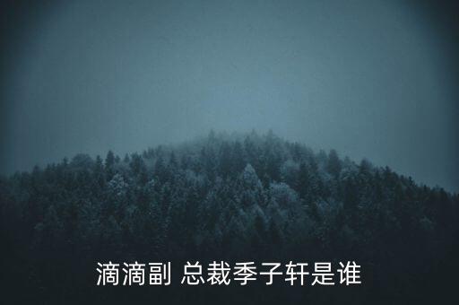 滴滴副 總裁季子軒是誰(shuí)