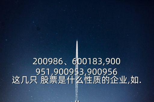 200986、600183,900951,900953,900956這幾只 股票是什么性質(zhì)的企業(yè),如...