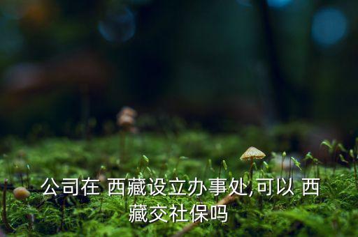  公司在 西藏設(shè)立辦事處,可以 西藏交社保嗎