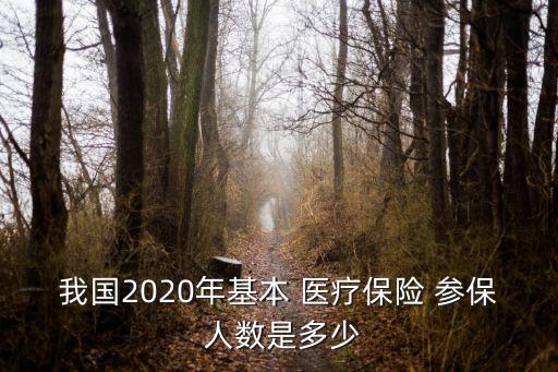 我國2020年基本 醫(yī)療保險 參保 人數(shù)是多少