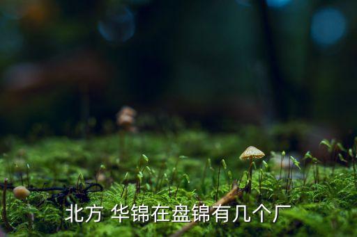 北方 華錦在盤(pán)錦有幾個(gè)廠