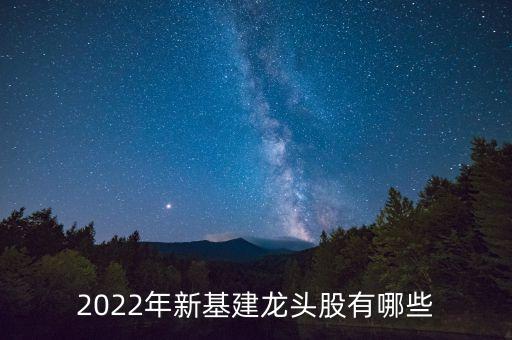 2022年新基建龍頭股有哪些