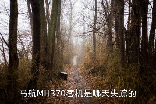 馬航MH370客機是哪天失蹤的