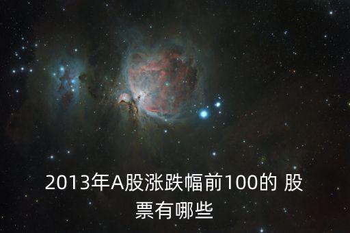 2013年A股漲跌幅前100的 股票有哪些