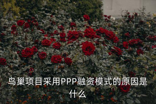 鳥巢項(xiàng)目采用PPP融資模式的原因是什么