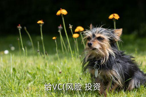 給VC(風(fēng)險 投資