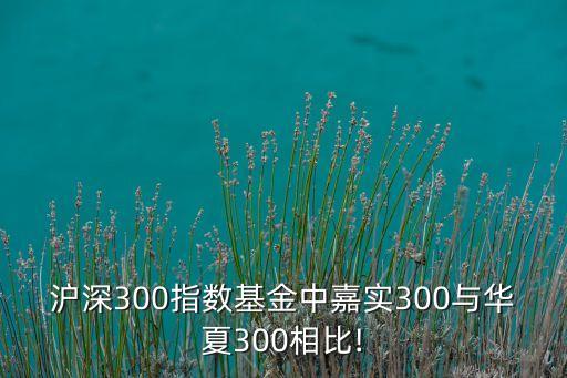 滬深300指數(shù)基金中嘉實(shí)300與華夏300相比!