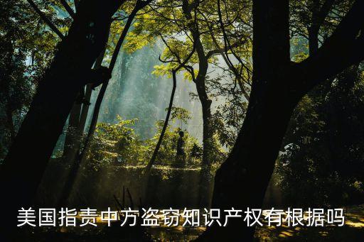 美國指責中方盜竊知識產(chǎn)權(quán)有根據(jù)嗎