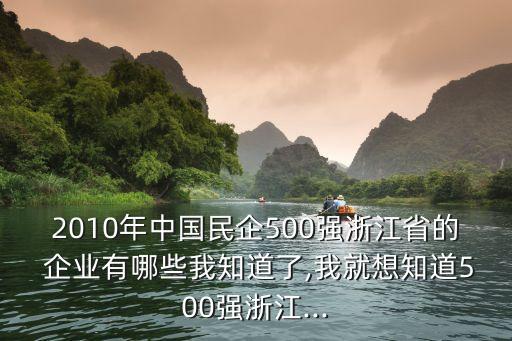 2010年中國民企500強浙江省的 企業(yè)有哪些我知道了,我就想知道500強浙江...