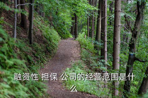  融資性 擔(dān)保 公司的經(jīng)營范圍是什么