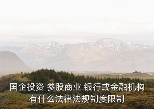 國企投資 參股商業(yè) 銀行或金融機構有什么法律法規(guī)制度限制