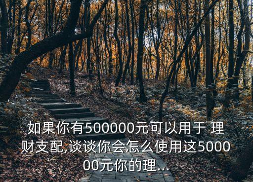 如果你有500000元可以用于 理財(cái)支配,談?wù)勀銜?huì)怎么使用這500000元你的理...