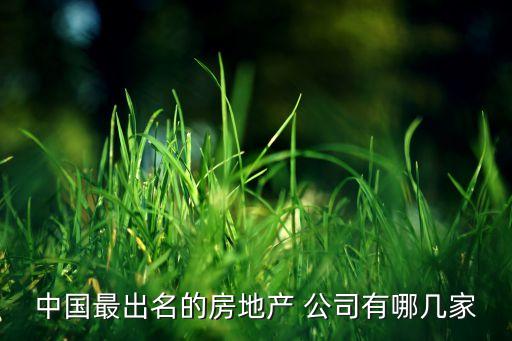 中國(guó)最出名的房地產(chǎn) 公司有哪幾家