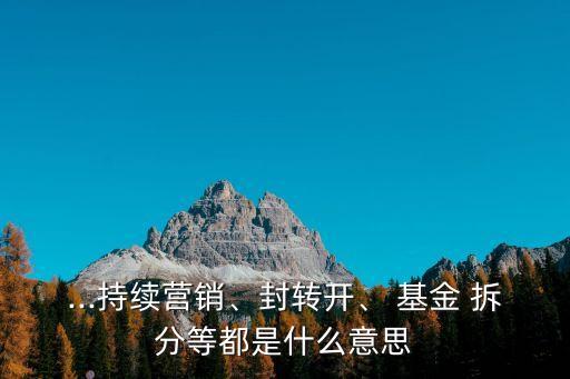 ...持續(xù)營銷、封轉(zhuǎn)開、 基金 拆分等都是什么意思